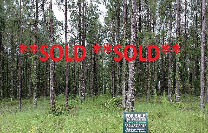 10 Acres Larkin Road, Owner Financing, Timber Greenbelt, Dade City, Pasco County, Florida SOLD
